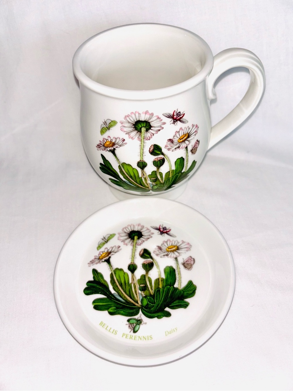 Portmeirion Botanic Garden Bristol Mug & Small Dish Daisy Bee Butterfly England